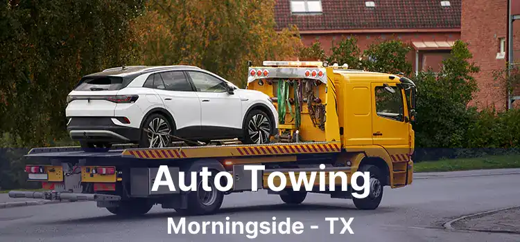 Auto Towing Morningside - TX