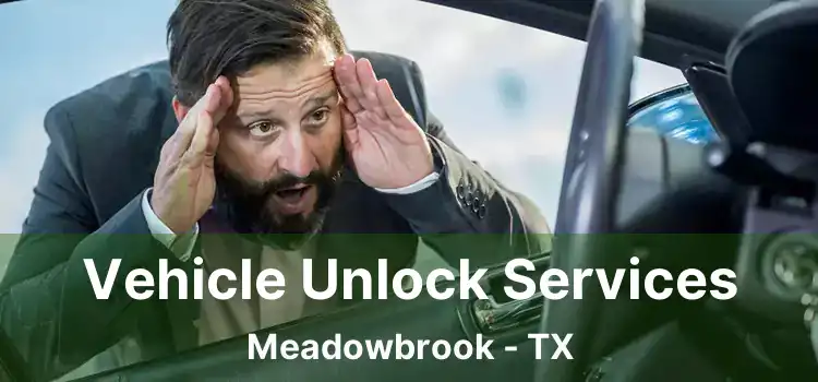 Vehicle Unlock Services Meadowbrook - TX