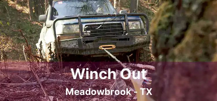 Winch Out Meadowbrook - TX