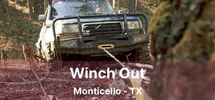 Winch Out Monticello - TX