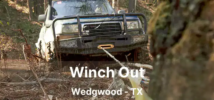 Winch Out Wedgwood - TX